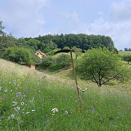 Ferienhaus Grabenhansl Stubenberg Exterior foto