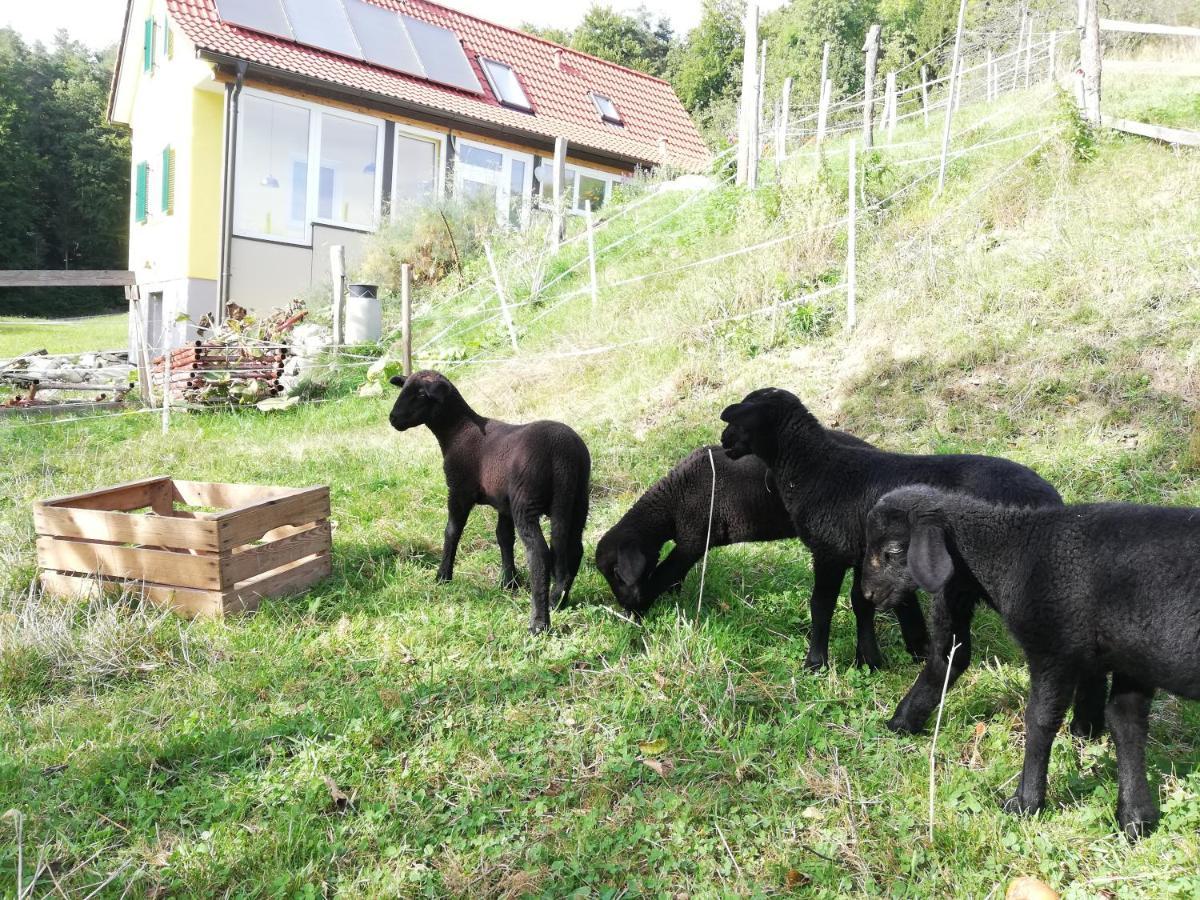 Ferienhaus Grabenhansl Stubenberg Exterior foto